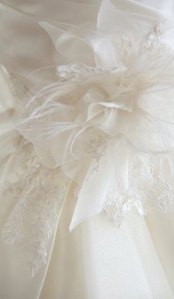 photo-2c.jpg