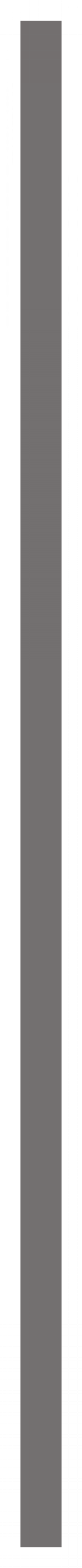 s.png