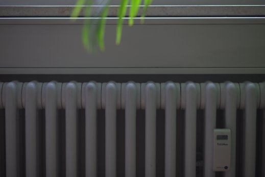 heizung-pflanze-heizung-notdienst-frankfurt-24h.jpg