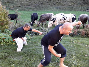 Tai-Chi-Hittisau.png