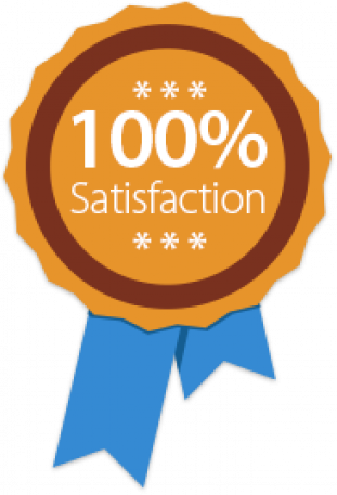 100-satisfaction.png