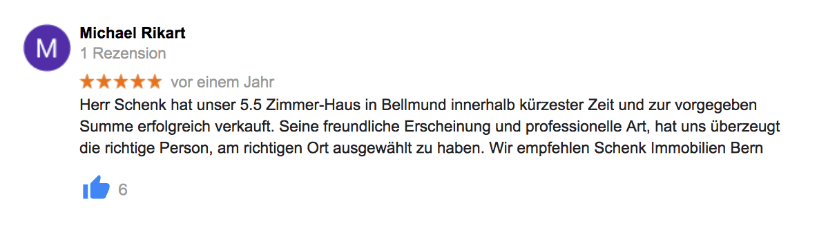 google-referenz-5.-schenk-immo.png.png