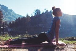 Wellness