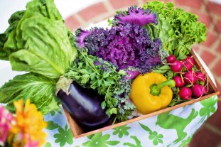 Ernährungsberatung Bochum - Gesunde Ernährung Bochum