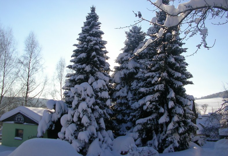 Fotos_802.jpg