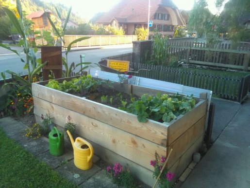 Hochbeet-Larche.jpg