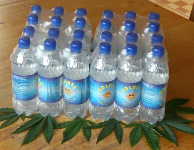 Plateau de 24 bouteilles (4 x 6) de 0.5 L de Golosa
