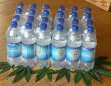 24 er Tray GOLOSA Hanfwasser