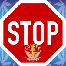 Verkaufsstop für GOLOSA