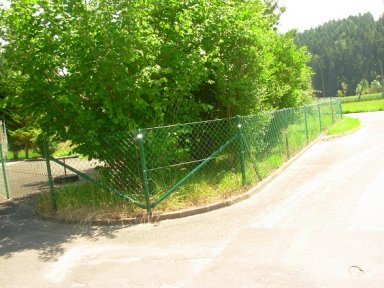 Diagonalgeflecht Obstanlage