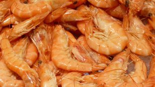 Krustentiere mit viel Omega 3 Wichtige Omega 3-Fettsäuren in Krustentieren