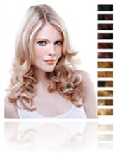 Extensions2.jpg