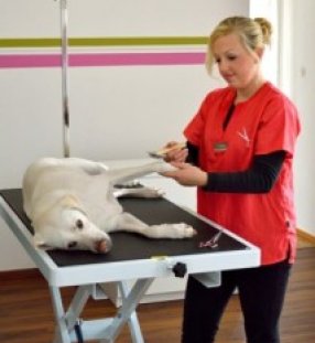 Nina Di Giorgio in Ihrem Hundeshop