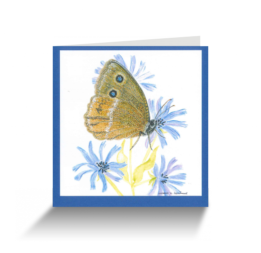 20151111110006267_0001.png