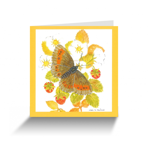 20151111110056028_0001.png