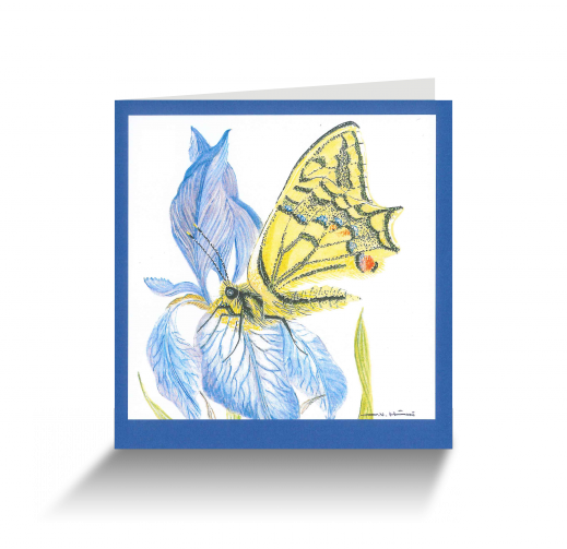 20151111110157597_0001.png