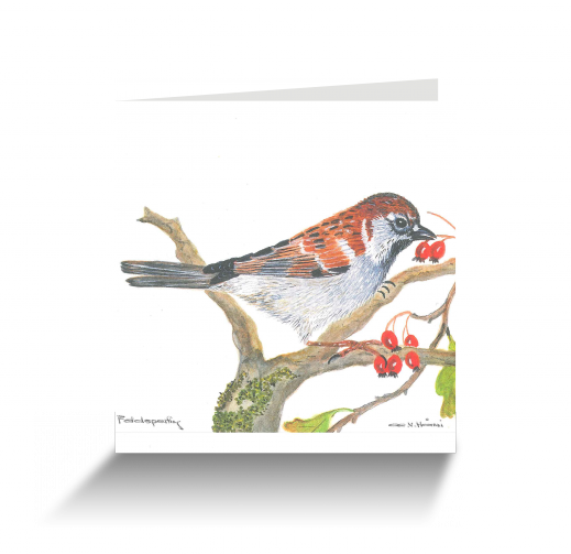 20151111110317520_0001.png