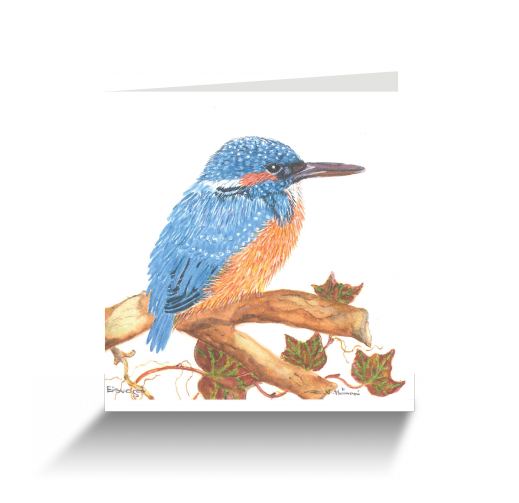 20151111110854403_0001.png