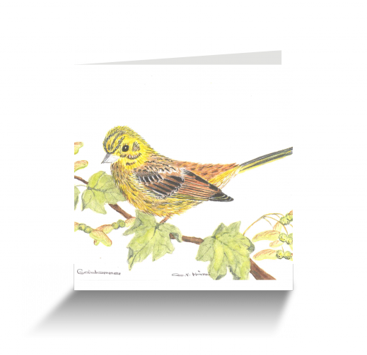 20151111110914648_0001.png