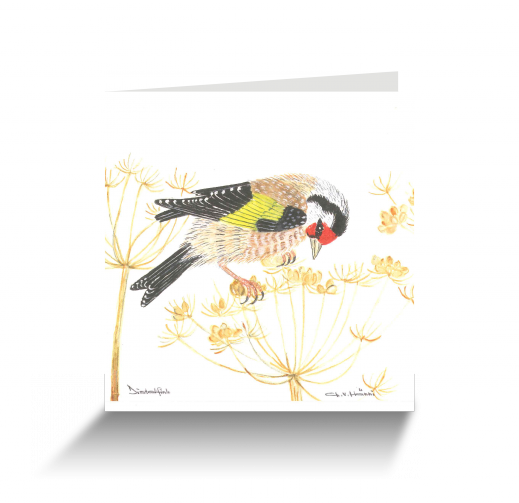 20151111110937024_0001.png