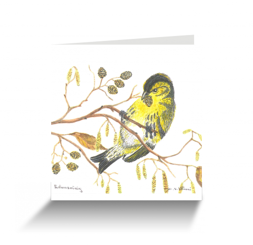 20151111111020294_0001.png
