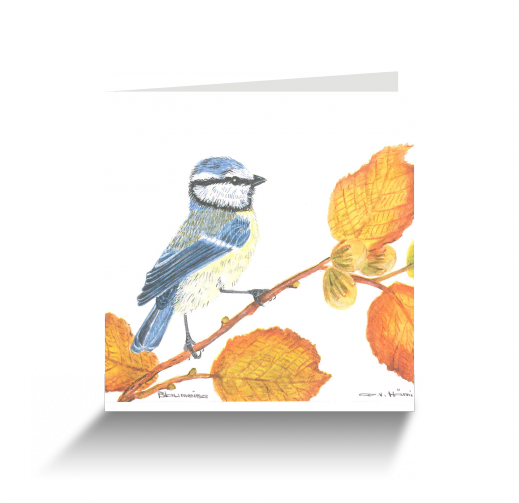 20151111111059344_0001.png
