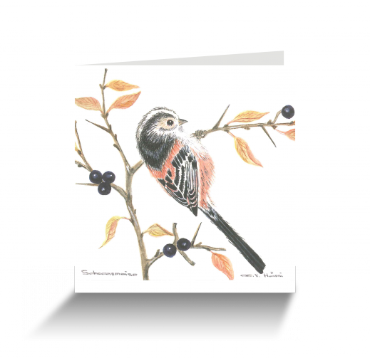 20151111111148238_0001.png