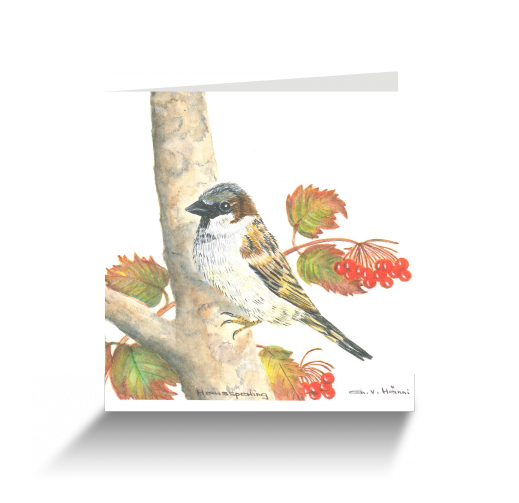 20151111111230734_0001.png