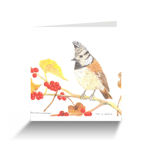 20151111111424862_0001.png