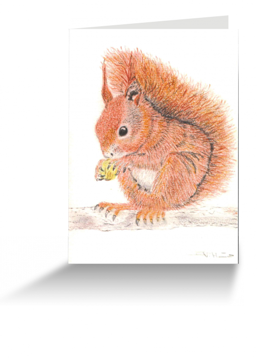 20151111111556942_0001.png