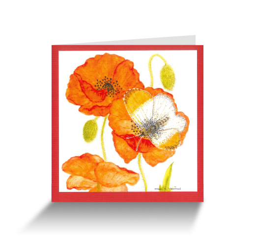 20151111113838754_0001.png