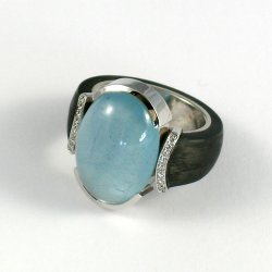 ring1_2.jpg
