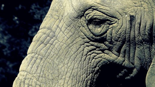 Augenfältchen mit Mesotherapie behandeln