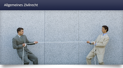 Zivilrecht-Grafik.png